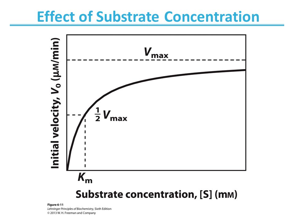 Effect of Substrate Concentration on the Rate of Activity of Catalase